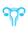 uterus_blue